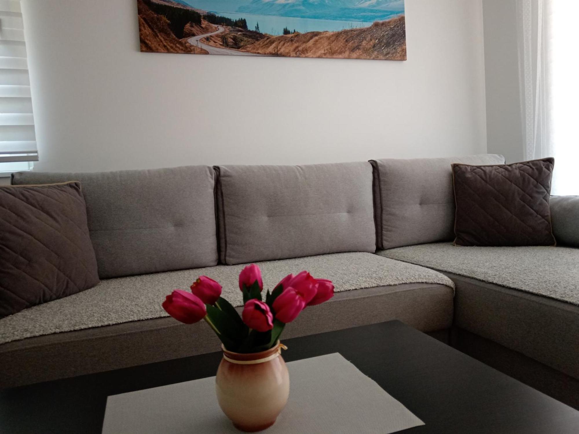 Mk Apartment Zlatibor